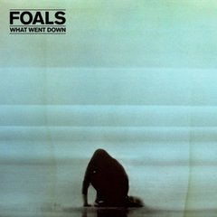 Виниловая пластинка Foals - What Went Down (VINYL) LP