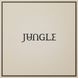 Виниловая пластинка Jungle - Loving In Stereo (VINYL) LP 1